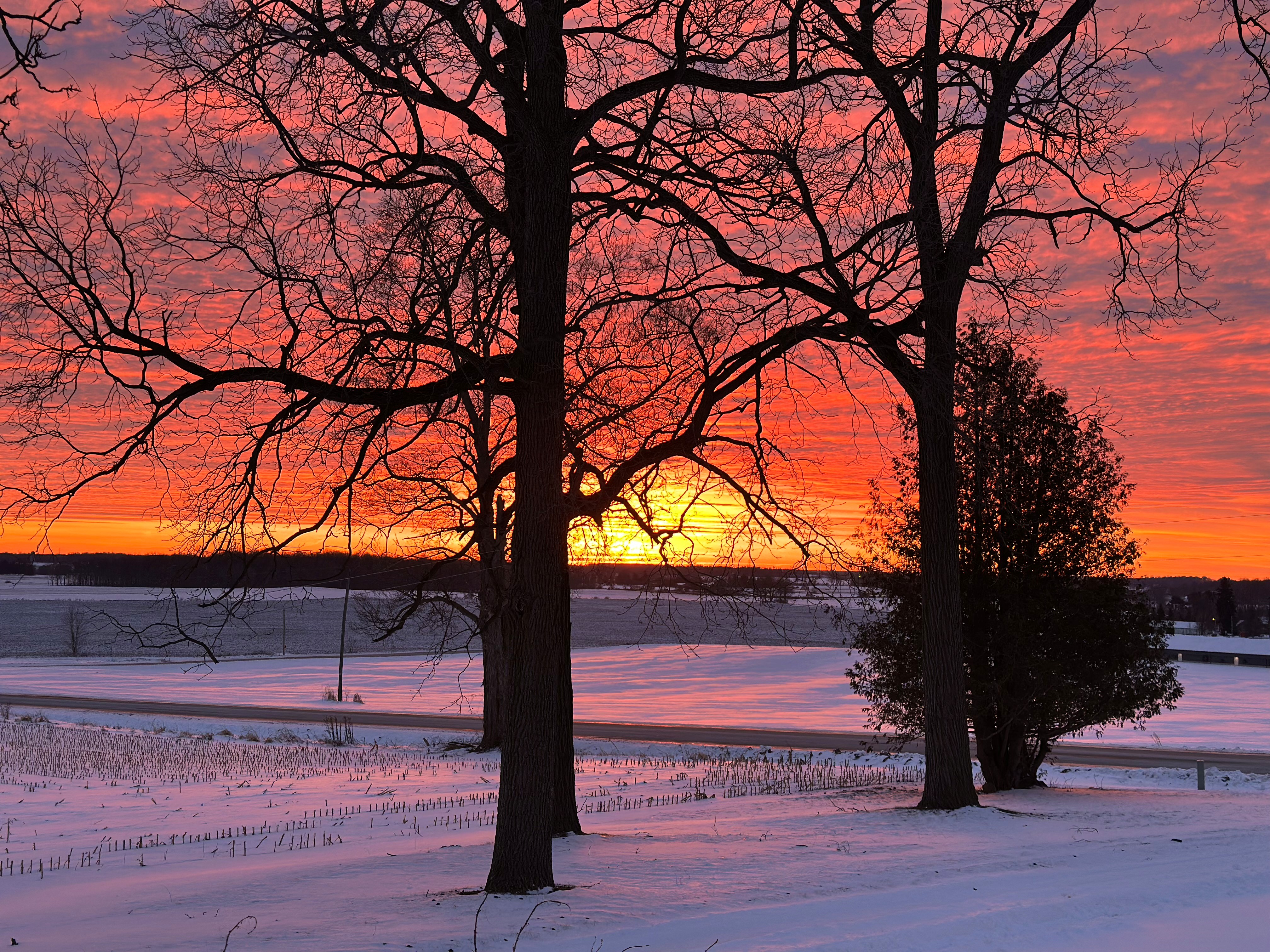 The Township of Norwich